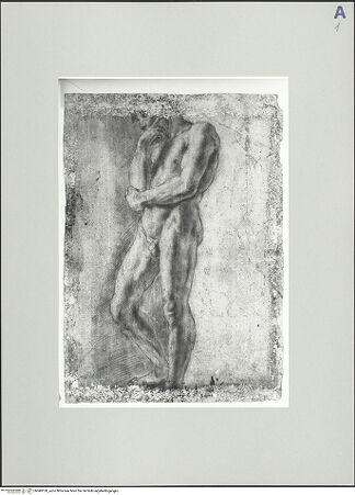 Vorderseite von bh549130_recto