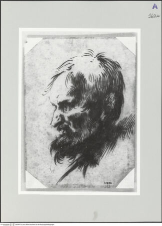 Vorderseite von bh549170_recto