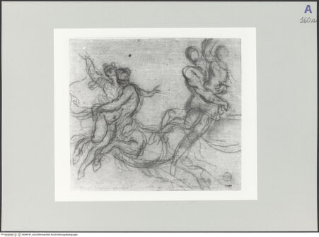 Vorderseite von bh549181_recto