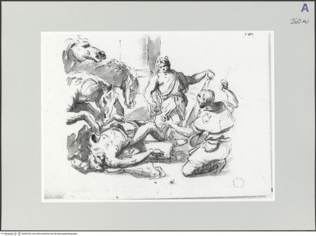 Vorderseite von bh549183_recto