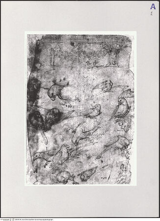 Vorderseite von bh549189_recto