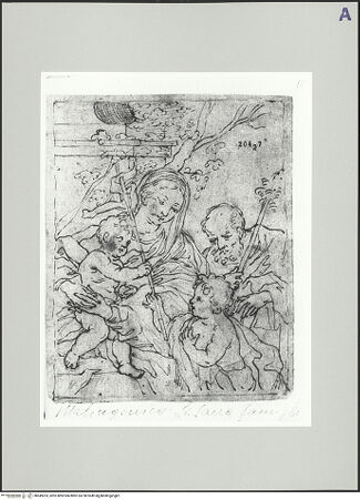 Vorderseite von bh549203_recto