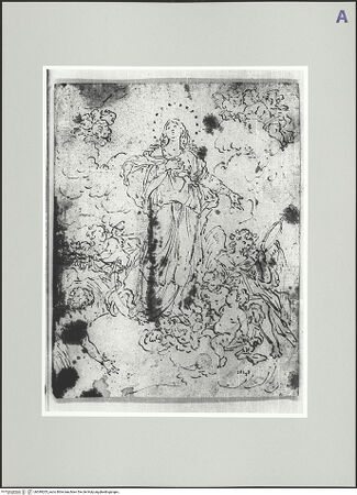 Vorderseite von bh549205_recto