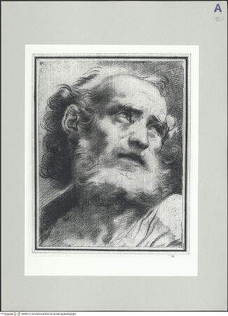 Vorderseite von bh549213_recto