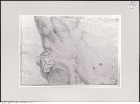 Vorderseite von Sopr. BAS NA [https://www.deutsche-digitale-bibliothek.de/content/lizenzen/rv-ez/] Detailstudie eines männlichen Aktes: Nachzeichnung nach der Antike (Laokoon) - Gesamtansicht, bh549245_recto. Foto.