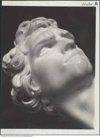 Vorderseite von bh549264_recto