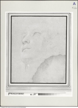 Vorderseite von bh549468_recto