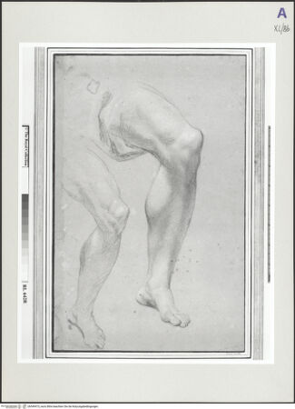 Vorderseite von bh549473_recto