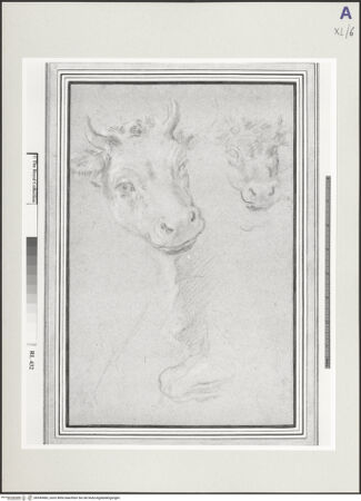 Vorderseite von bh549483_recto