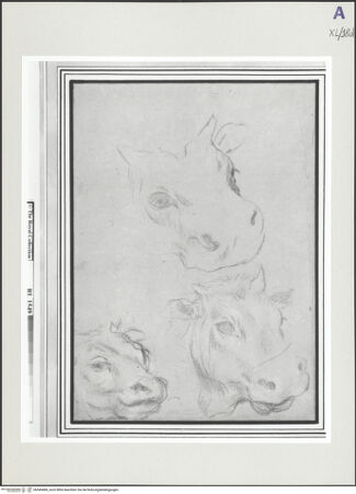 Vorderseite von bh549484_recto