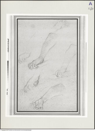 Vorderseite von bh549493_recto