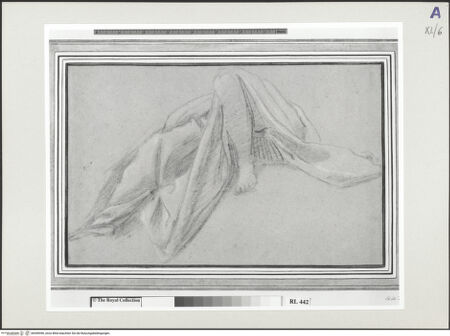 Vorderseite von bh549496_recto