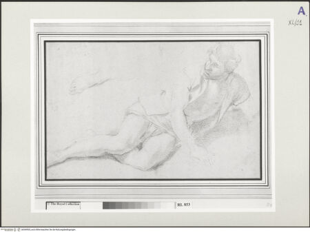 Vorderseite von bh549503_recto