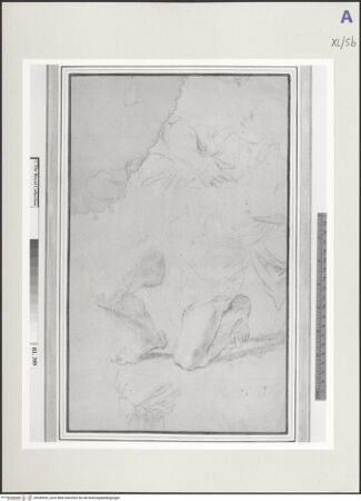 Vorderseite von bh549555_recto