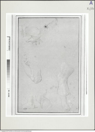 Vorderseite von bh549562_recto