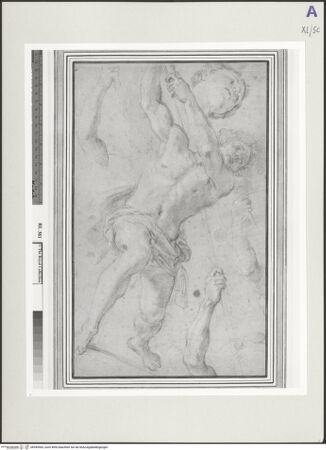 Vorderseite von bh549565_recto