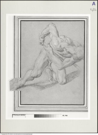 Vorderseite von bh549567_recto