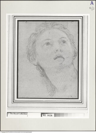 Vorderseite von bh549590_recto