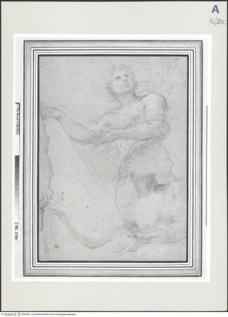 Vorderseite von bh549591_recto