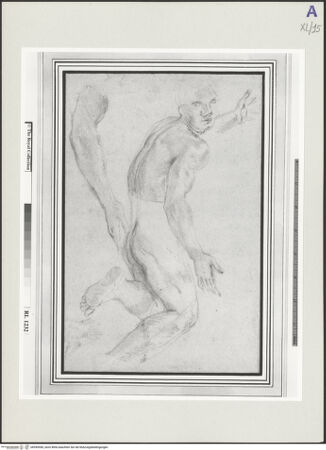 Vorderseite von bh549596_recto