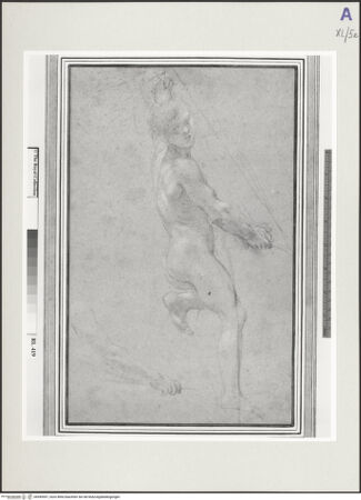 Vorderseite von bh549597_recto