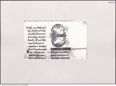 Vorderseite von bh549608_recto