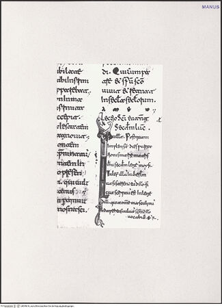 Vorderseite von bh549616_recto