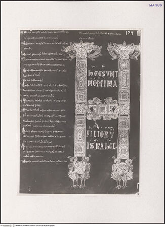 Vorderseite von bh549644_recto