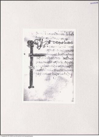 Vorderseite von bh549655_recto