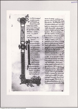 Vorderseite von bh549674_recto
