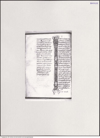 Vorderseite von bh549684_recto