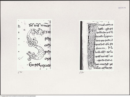 Vorderseite von bh549723_bh600289_recto