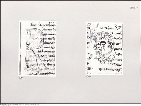 Vorderseite von bh549724_bh600290_recto