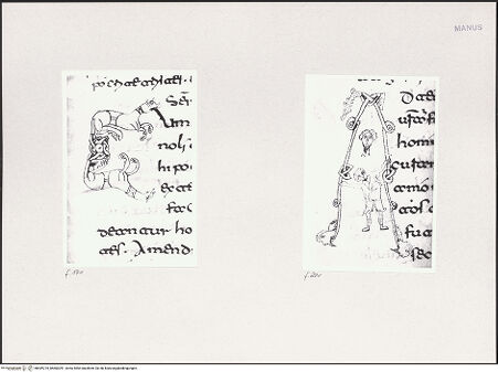 Vorderseite von bh549725_bh600291_recto