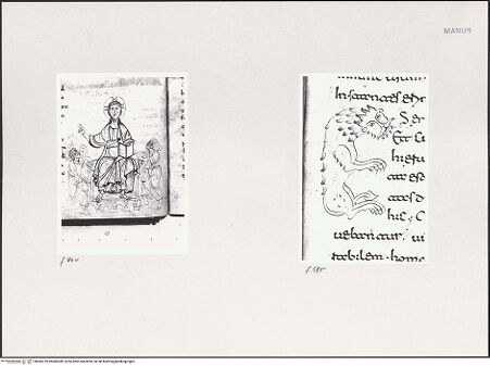 Vorderseite von bh549729_bh600285_recto