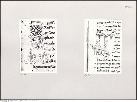 Vorderseite von bh549730_bh600286_recto