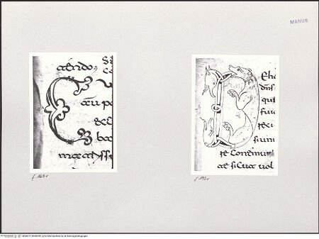 Vorderseite von bh549737_bh600282_recto