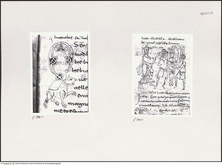 Vorderseite von bh549738_bh600283_recto