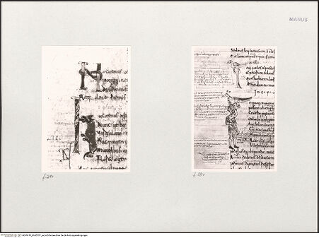 Vorderseite von bh549745_bh600301_recto