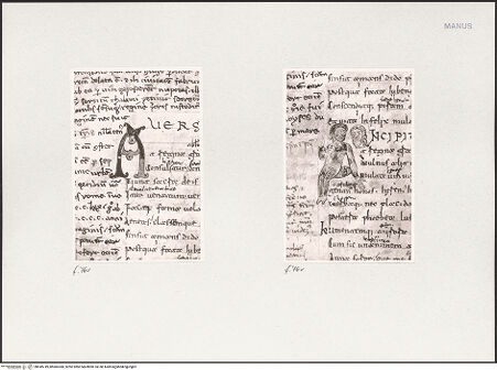 Vorderseite von bh549749_bh600306_recto