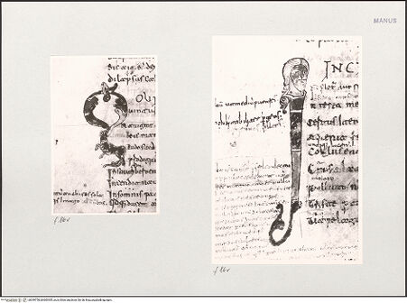 Vorderseite von bh549750_bh600305_recto