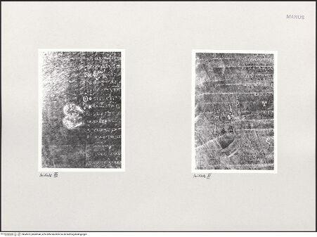 Vorderseite von bh549761_bh600340_recto