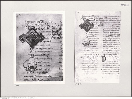 Vorderseite von bh549763_bh600253_recto