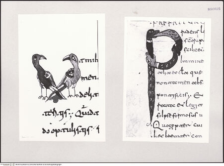 Vorderseite von bh549765_bh600164_recto