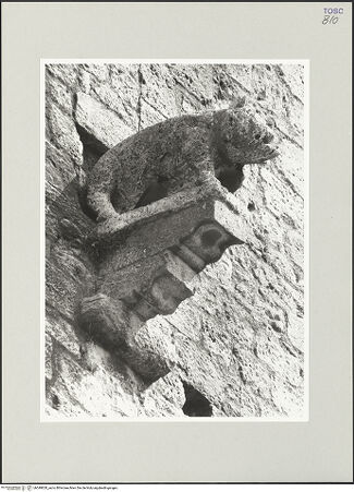 Vorderseite von bh549820_recto