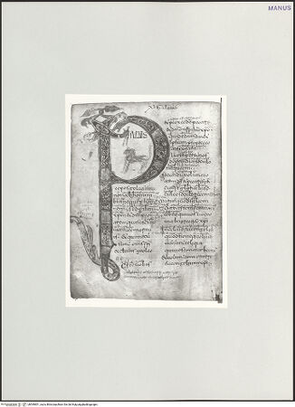 Vorderseite von bh549851_recto