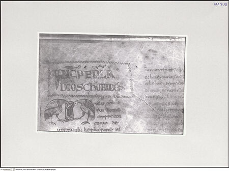 Vorderseite von bh549856_recto