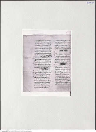 Vorderseite von bh549858_recto