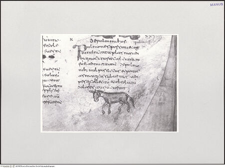 Vorderseite von bh549859_recto