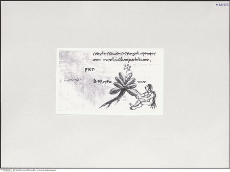 Vorderseite von bh549861_recto